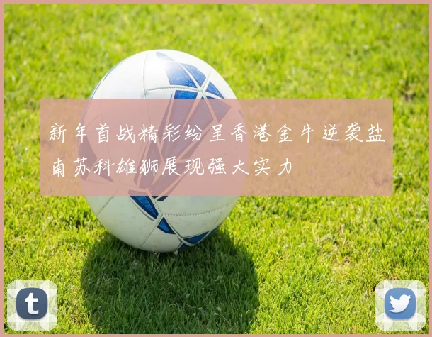 新年首战精彩纷呈香港金牛逆袭盐南苏科雄狮展现强大实力